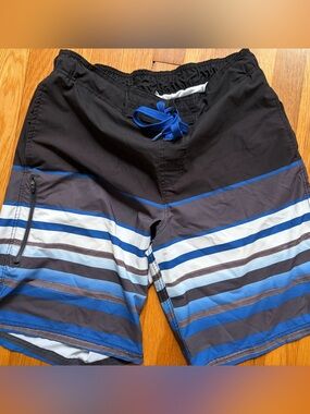 Men's Black & Blue Striped Swim Trunks Sz L